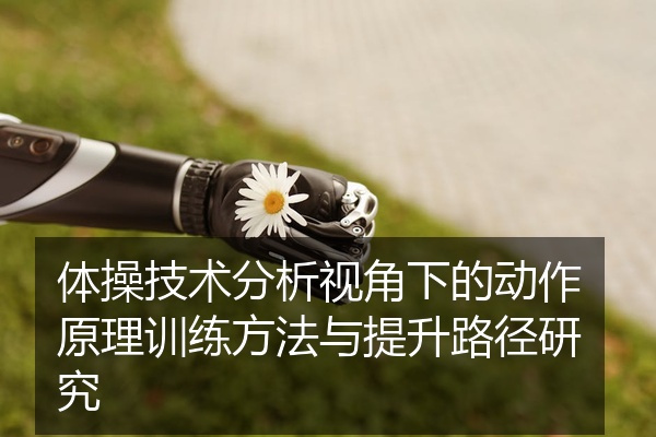 体操技术分析视角下的动作原理训练方法与提升路径研究
